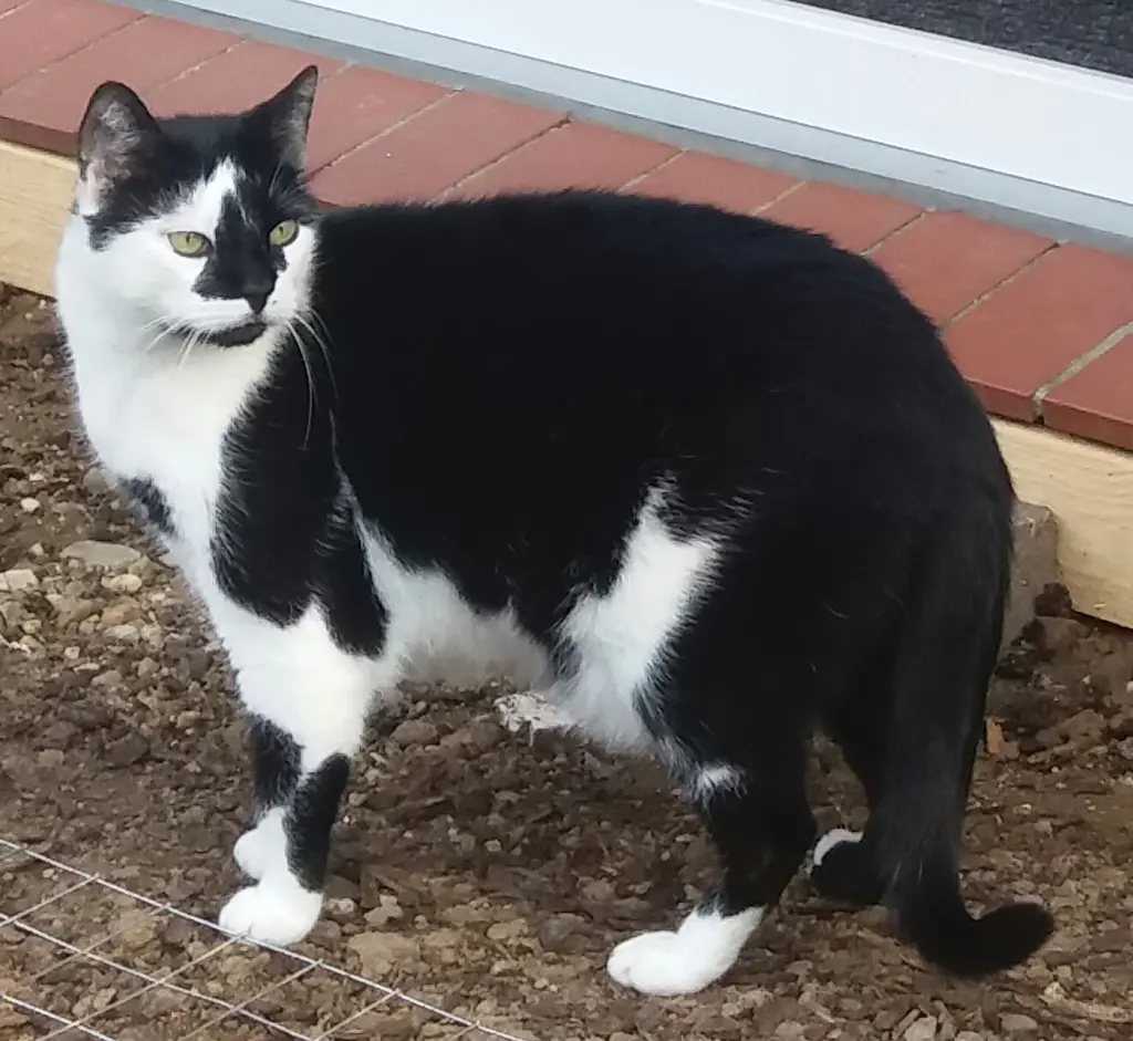 Condolence image of Annemarie und Elke mit Snoopy im Herzen gest.04.01.2022