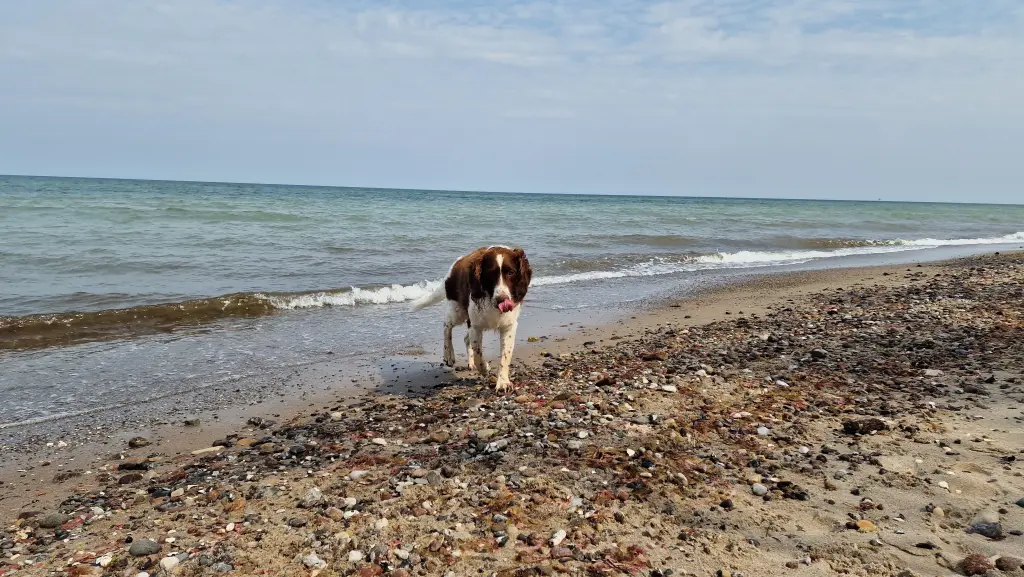 Condolence image of Thomas 