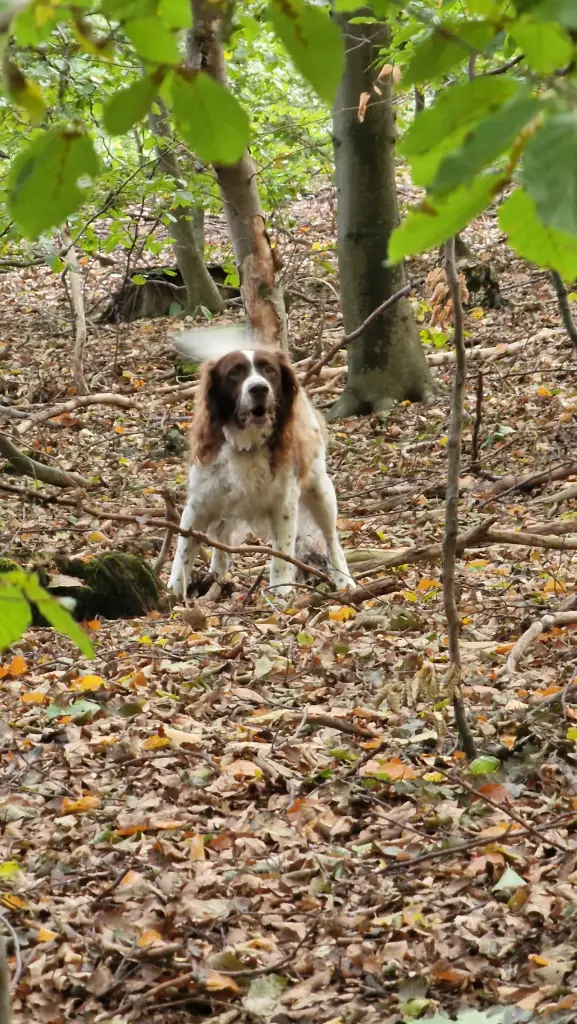 Condolence image of Thomas 