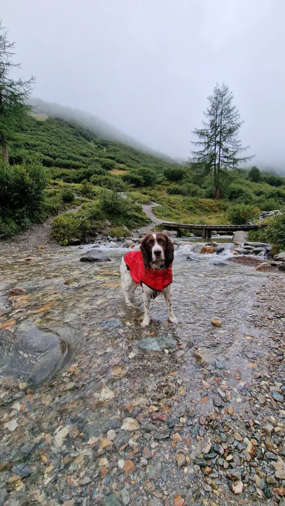 Condolence image of Thomas 