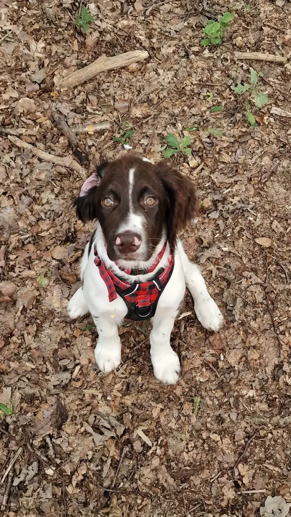 Condolence image of Thomas Köhler