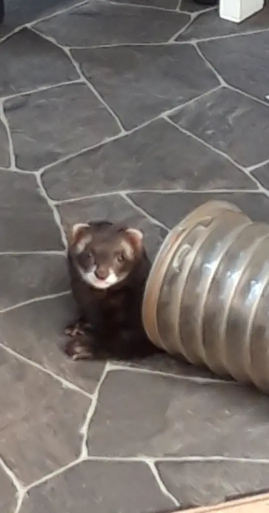 Condolence image of Unbekannt