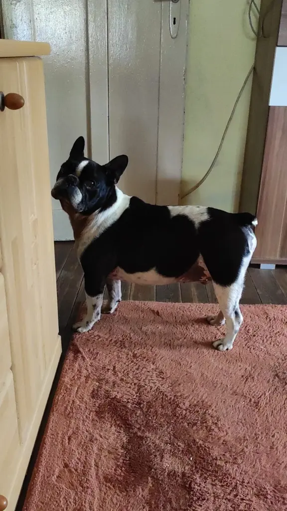 Condolence image of ❤️❤️❤️