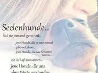 Condolence image of Unbekannt