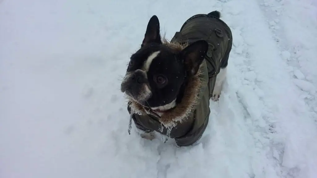 Condolence image of ❤️❤️❤️