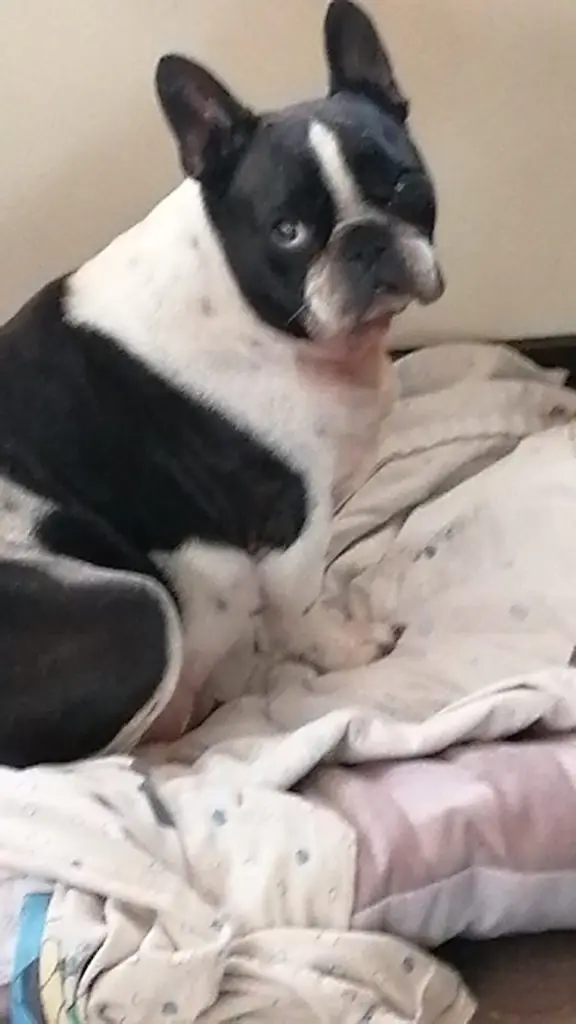 Condolence image of ❤️❤️❤️