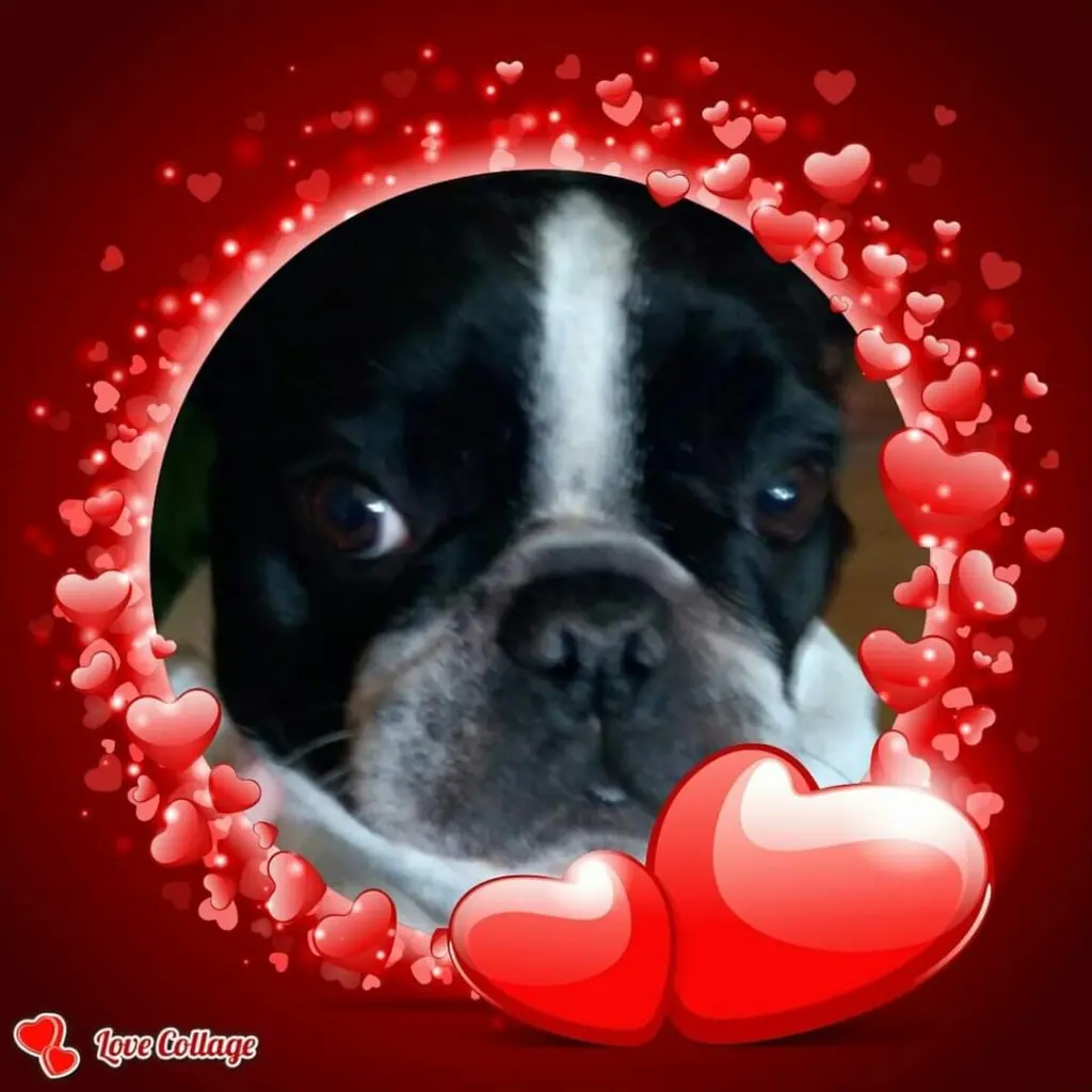 Condolence image of ❤️❤️Mama ❤️❤️