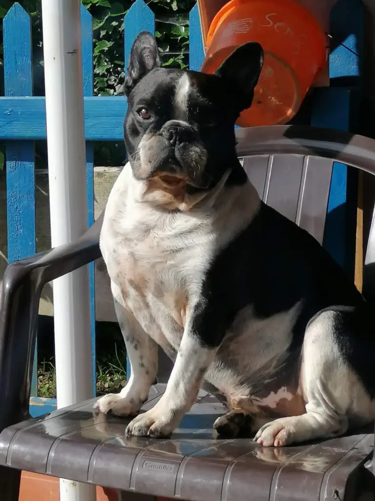 Condolence image of ❤️❤️❤️Mama 