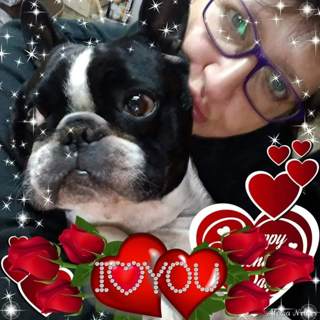 Condolence image of ❤️❤️❤️❤️