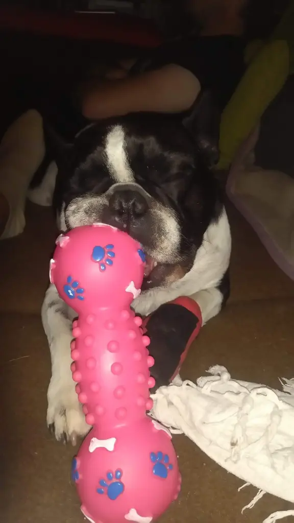 Condolence image of ❤️❤️❤️Mama 