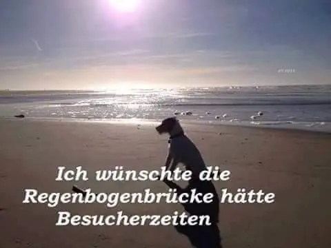 Condolence image of , ❤️❤️❤️❤️