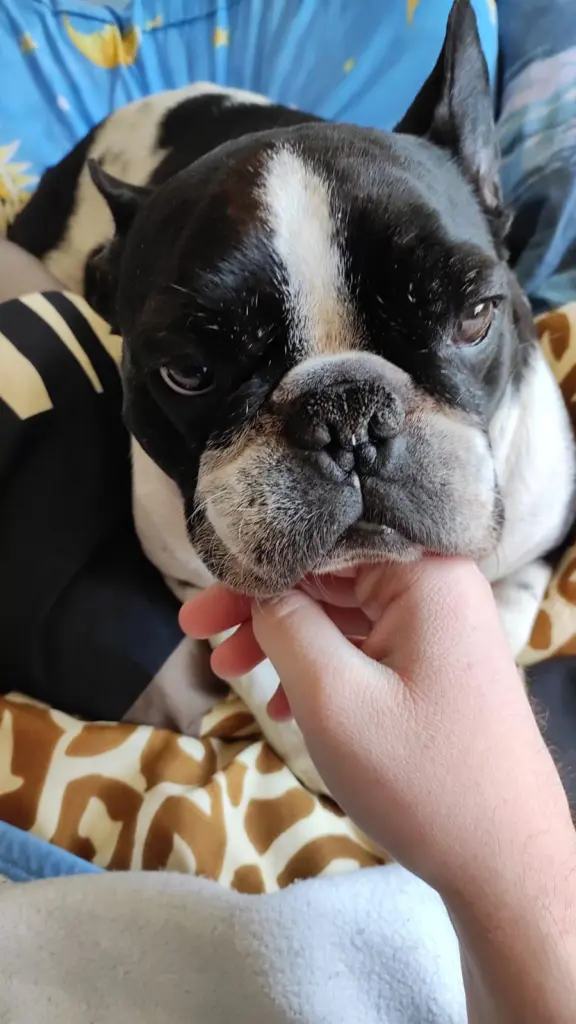 Condolence image of ❤️❤️❤️❤️❤️