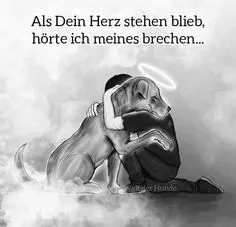 Condolence image of ❤️❤️❤️❤️❤️