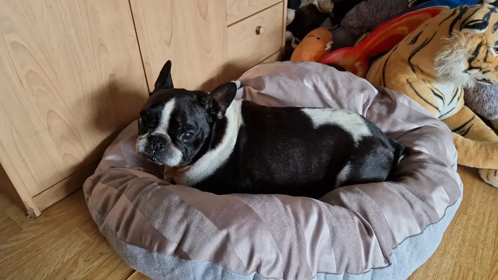 Condolence image of ❤️❤️❤️❤️❤️