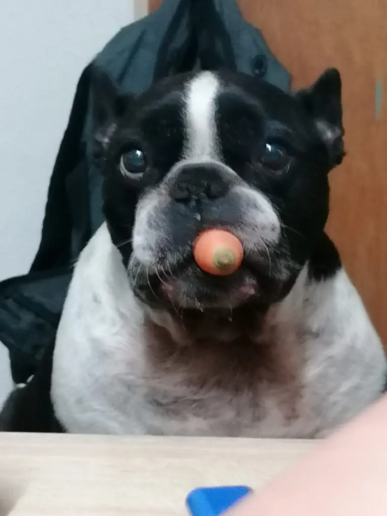 Condolence image of ❤️❤️❤️❤️❤️