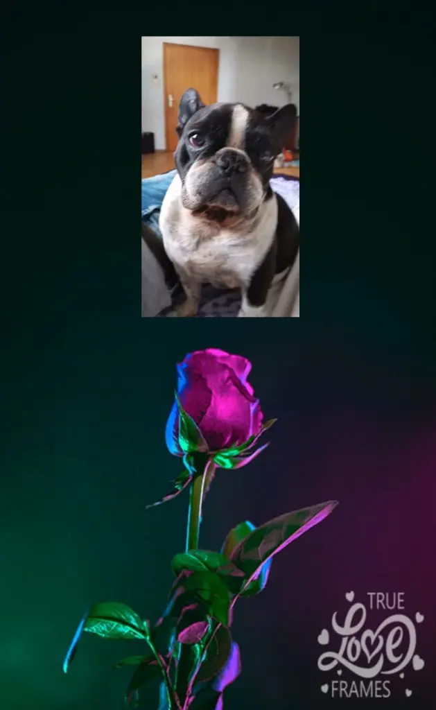 Condolence image of Mama❤️❤️