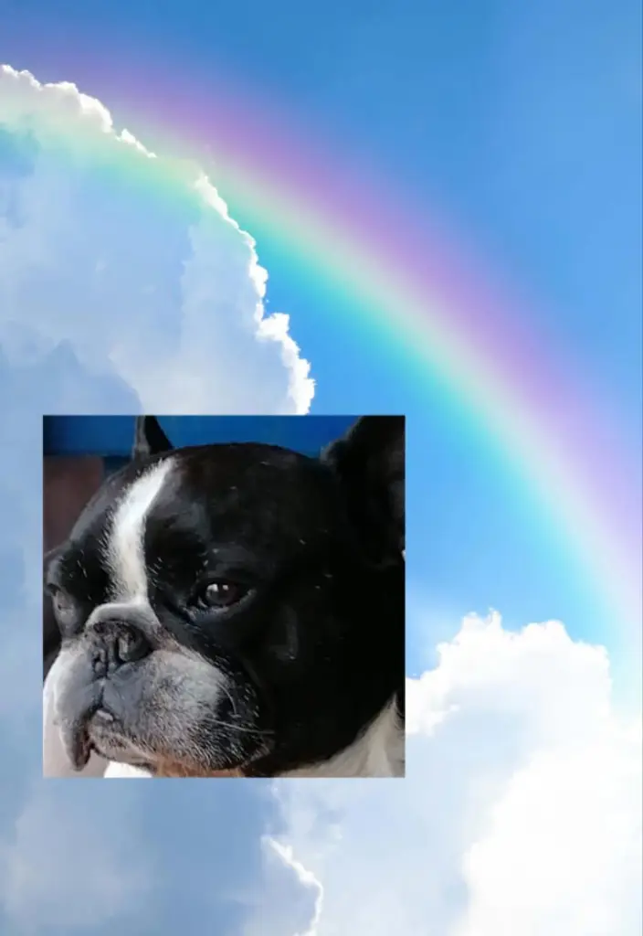 Condolence image of Mama