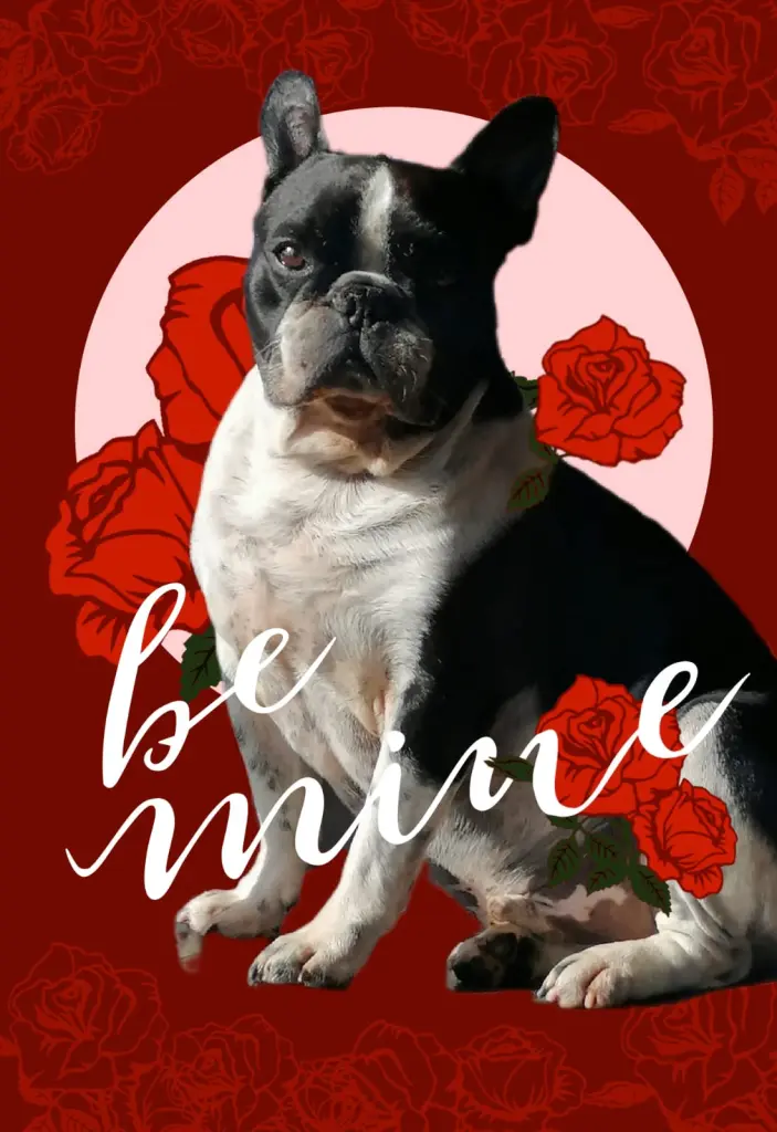 Condolence image of ❤️❤️❤️❤️