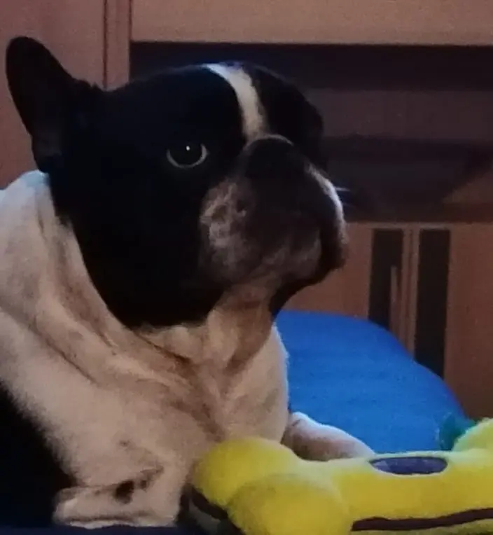 Condolence image of Mama ❤️❤️❤️