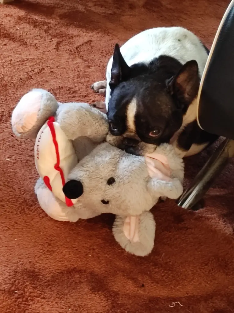 Condolence image of Mama❤️❤️❤️❤️