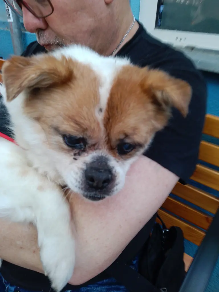 Condolence image of Uta