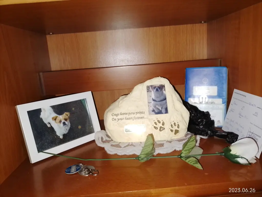 Condolence image of Volker 