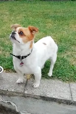 Condolence image of Volker