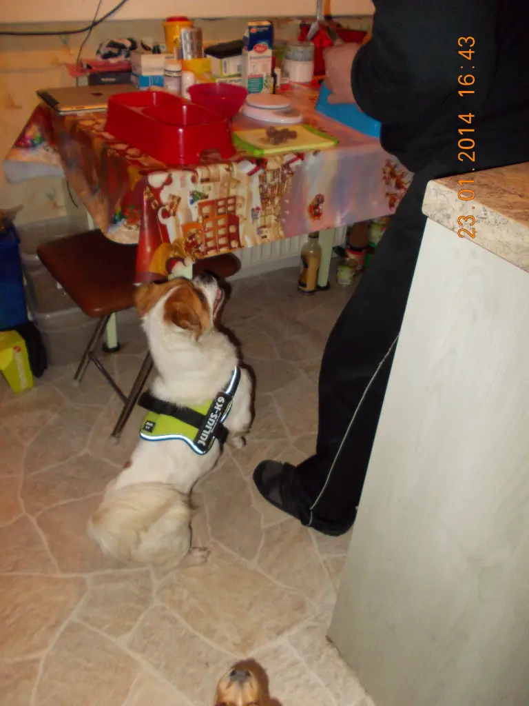 Condolence image of Uta Frauchen