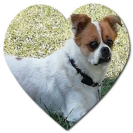 Condolence image of Volker