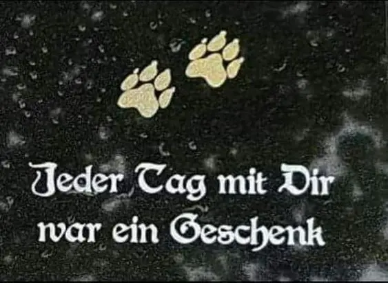 Condolence image of Volker