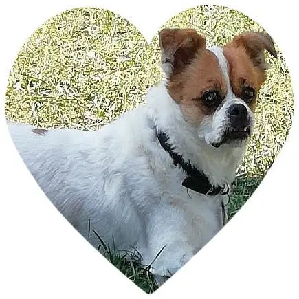 Condolence image of Volker 