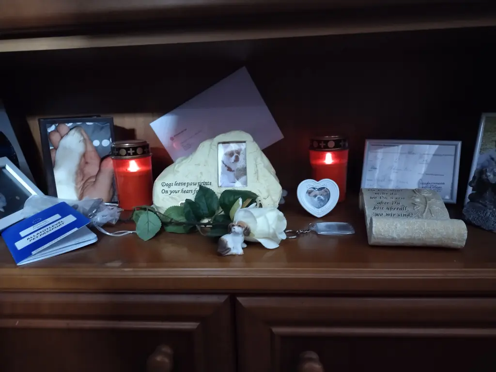 Condolence image of Volker 