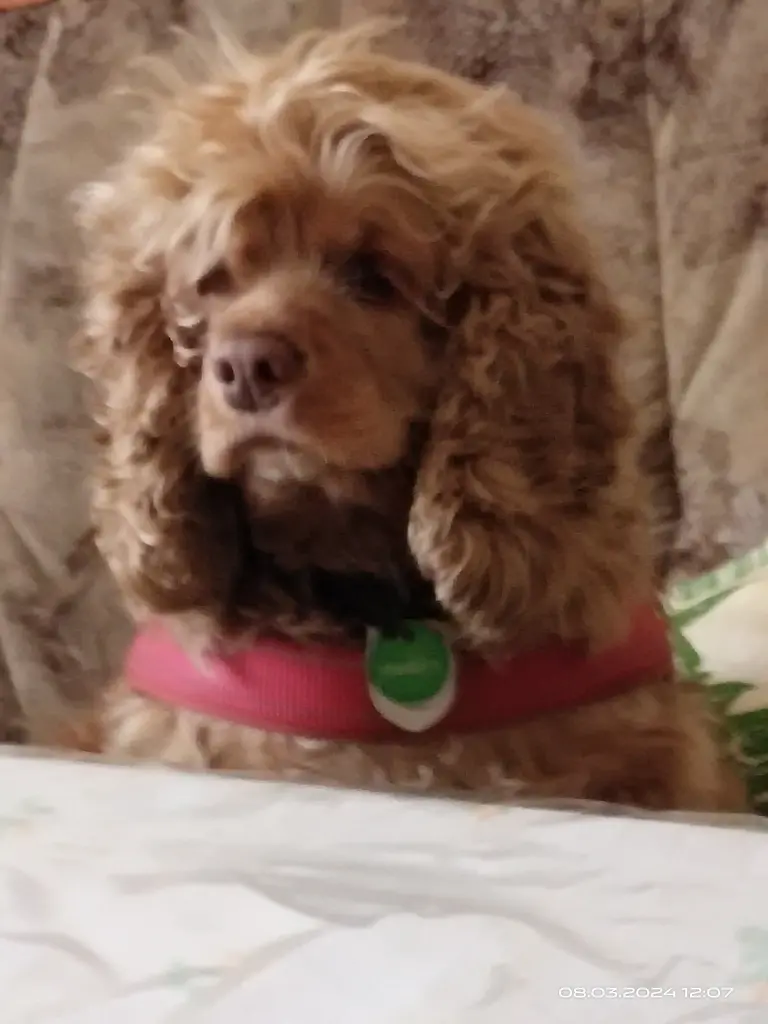 Condolence image of Volker