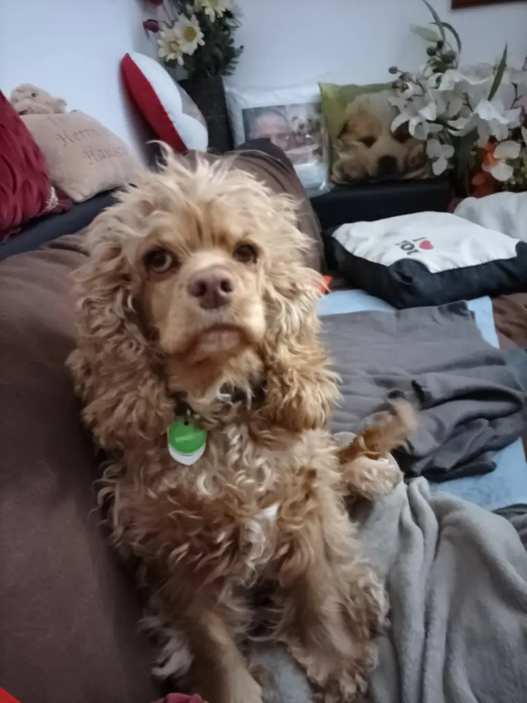 Condolence image of Volker