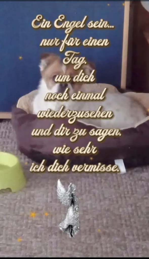 Condolence image of Volker