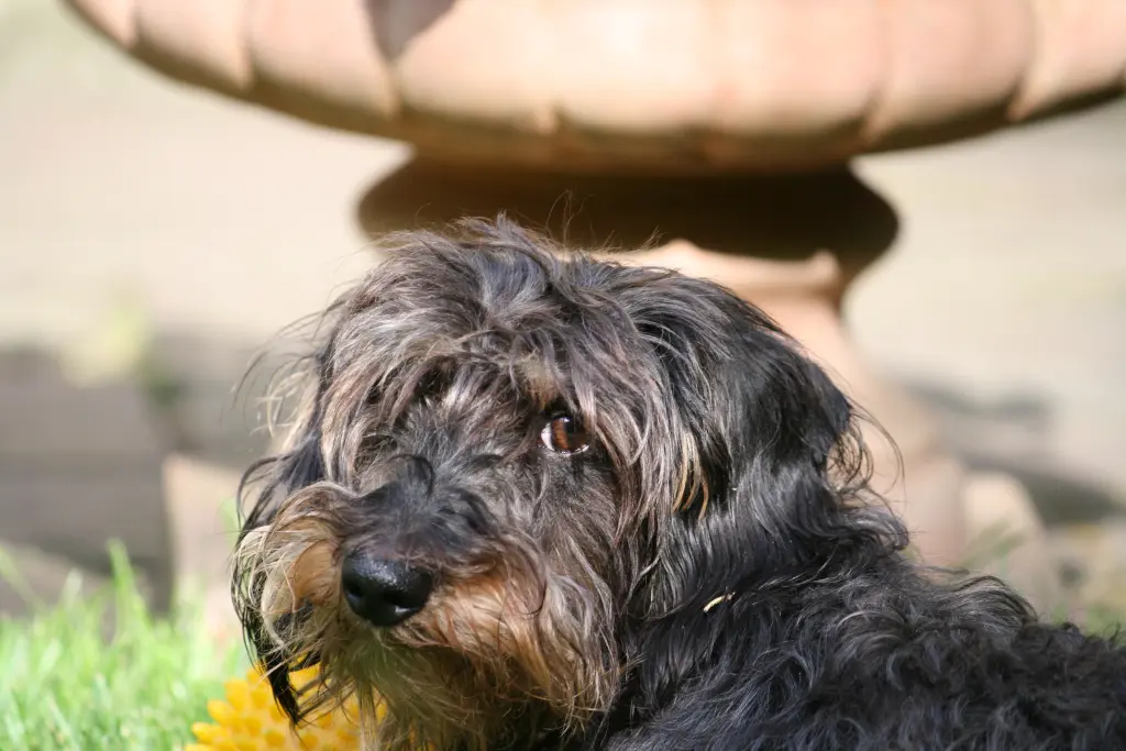 Condolence image of Norbert