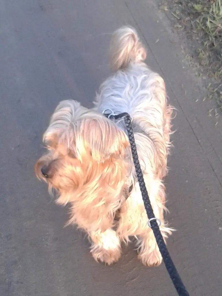 Condolence image of Ewa & Krzysztof mit Jacki tief im Herzen❤