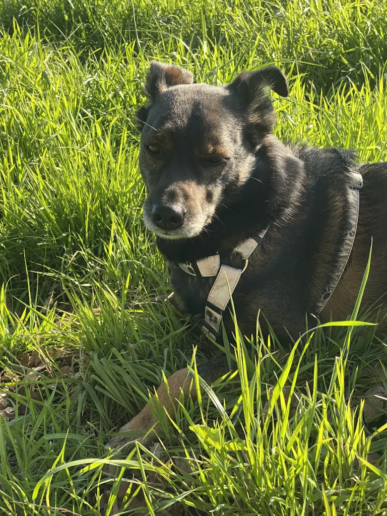 Condolence image of Simone