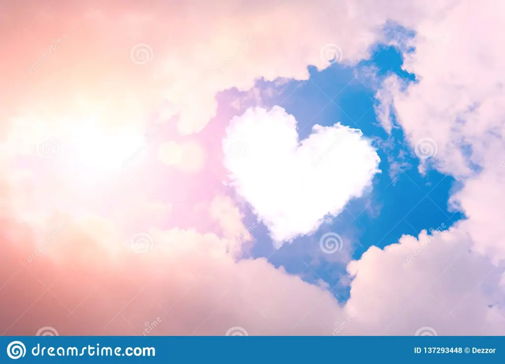 Condolence image of Für Blacky