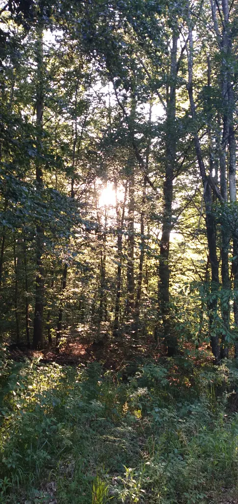 Condolence image of Erika