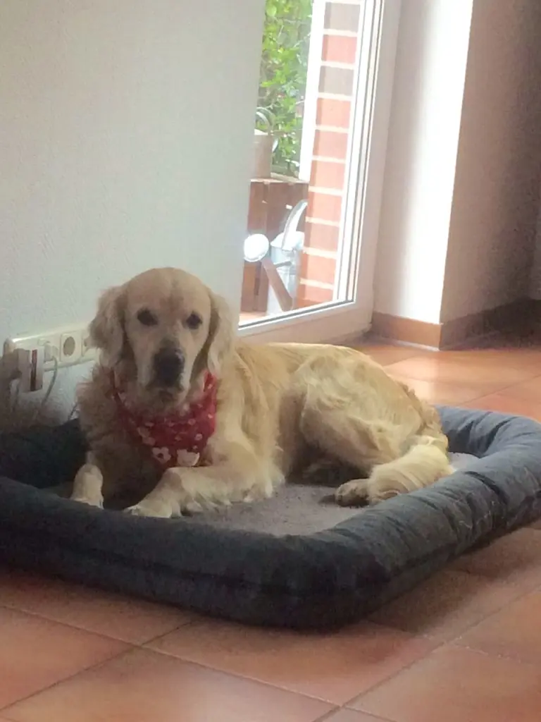 Condolence image of Andy und Piet