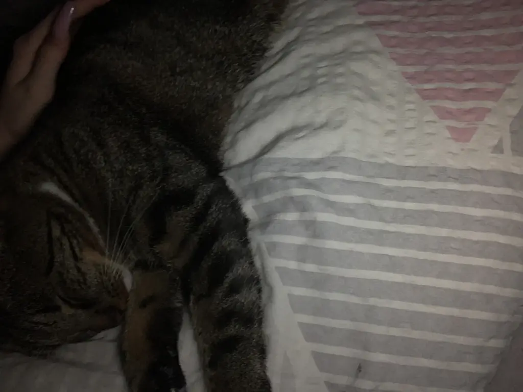 Condolence image of Vanessa Wallraff