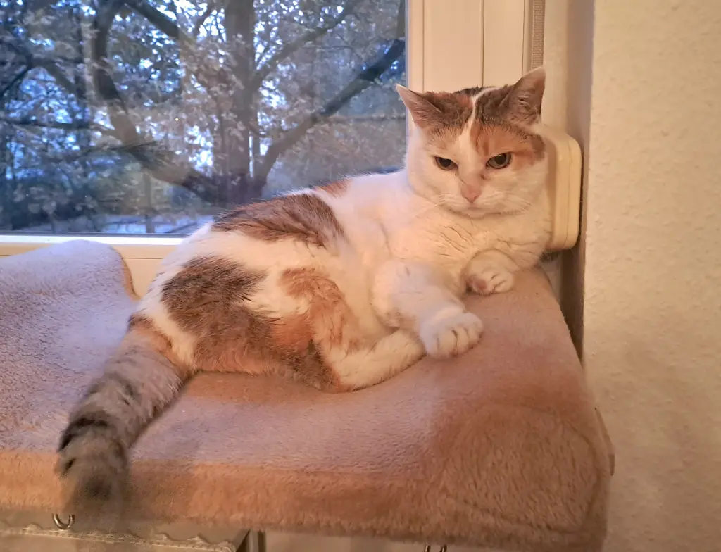 Condolence image of Andrea