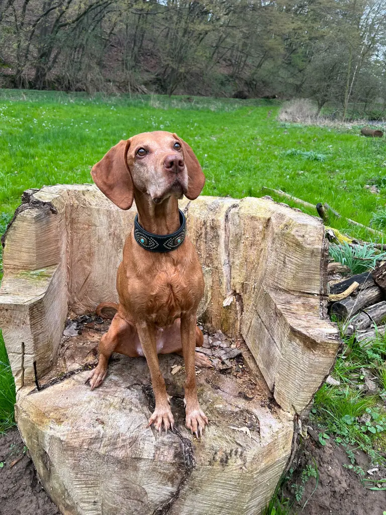 Condolence image of Melanie