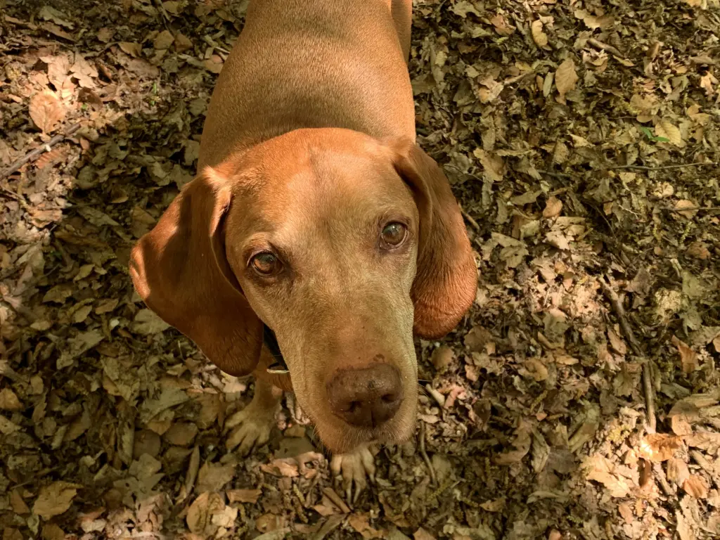 Condolence image of Melanie