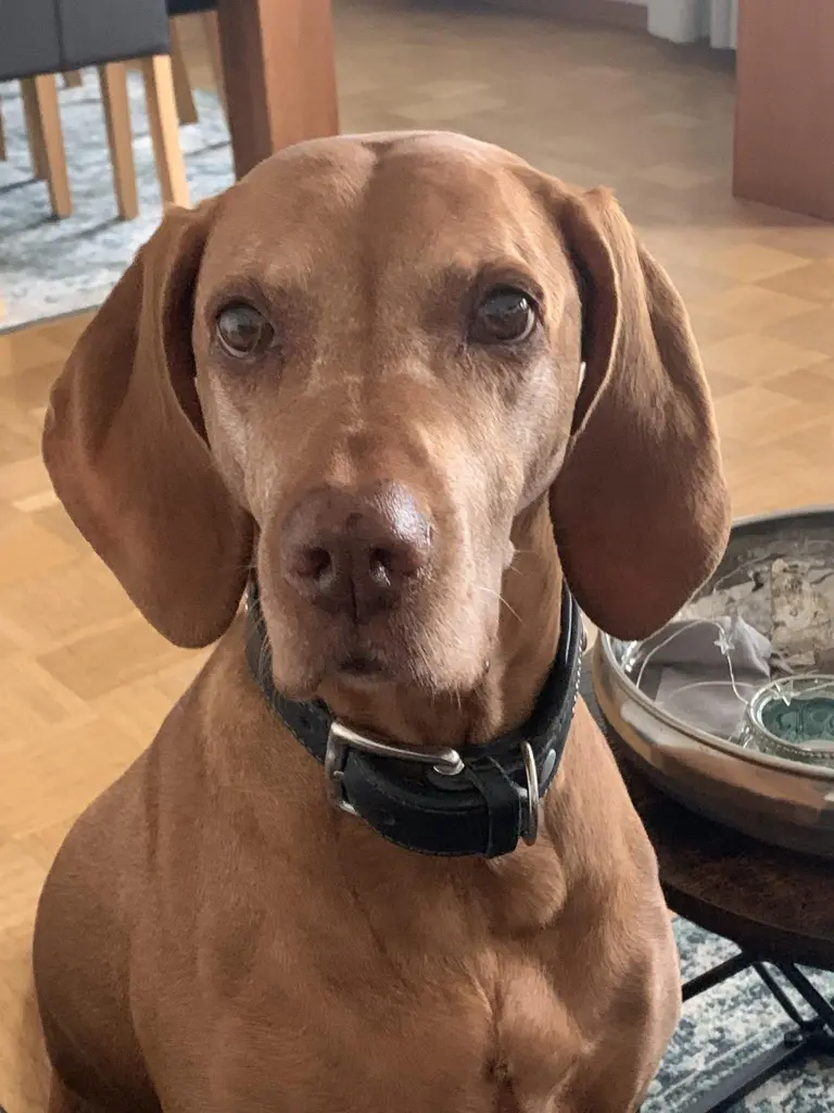 Condolence image of Melanie 