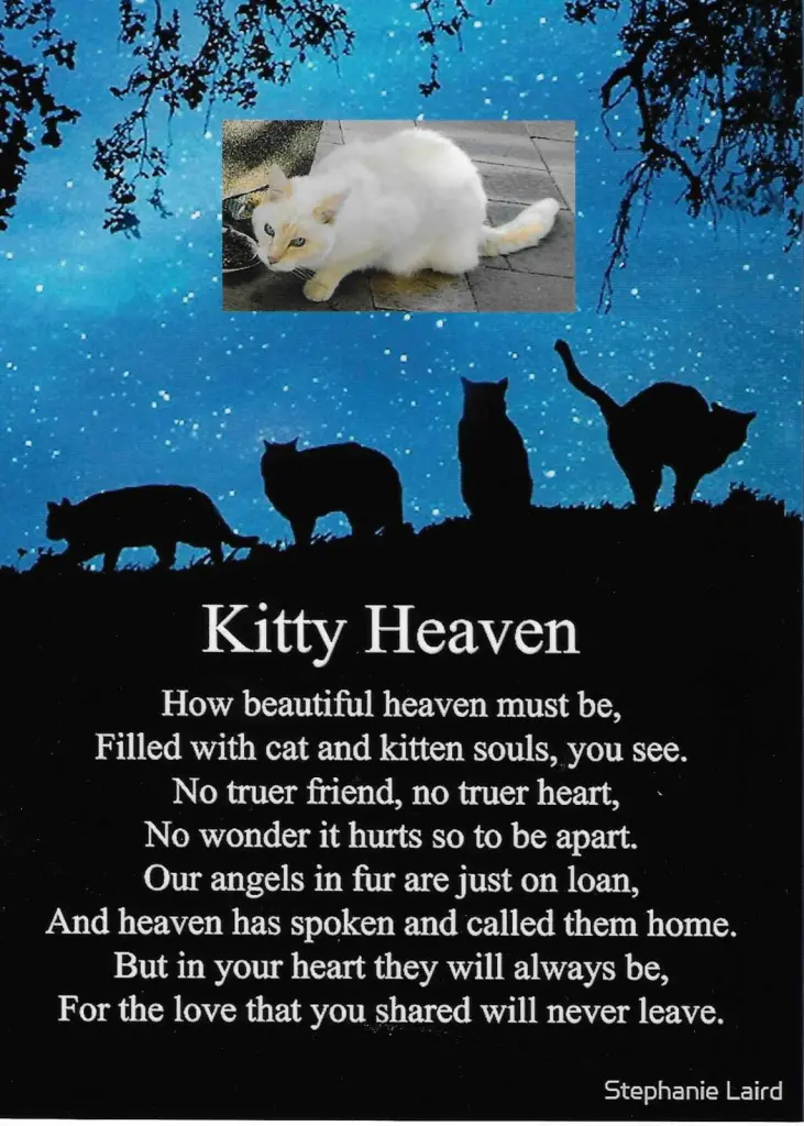 Condolence image of Christina Elicker