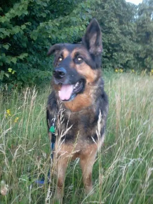 Image from Zeus (meine Keule)