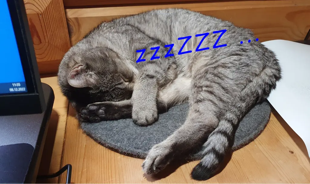 Condolence image of Manfred