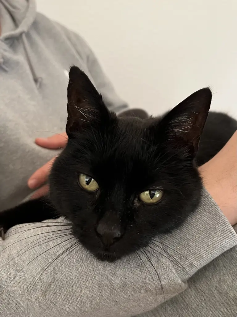 Condolence image of Anna